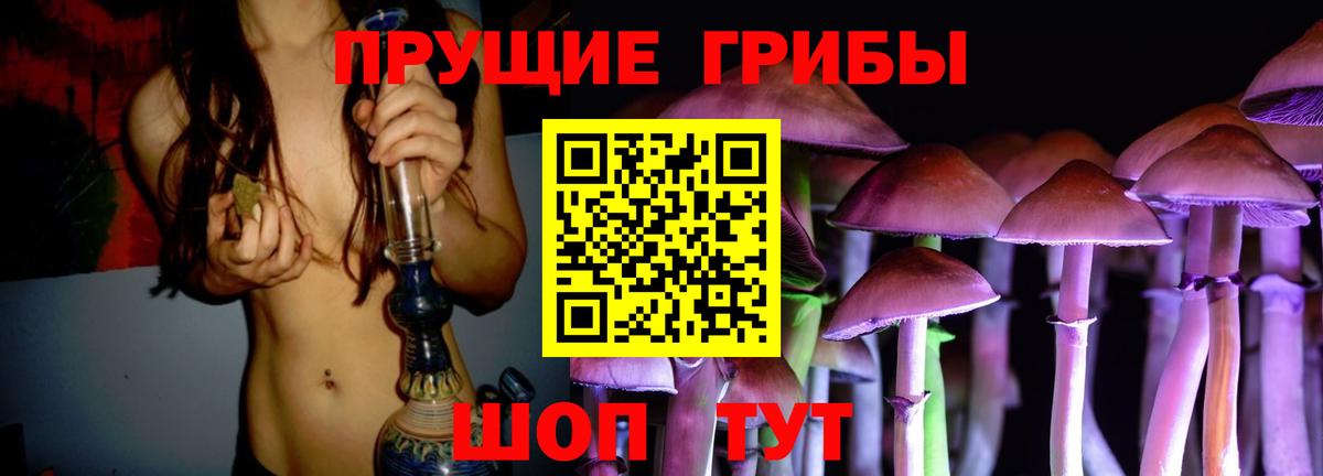 Псилоцибиновые грибы Psilocybe  Вход с VPN  Псилоцибиновые грибы Magic Shrooms  Урюпинск 